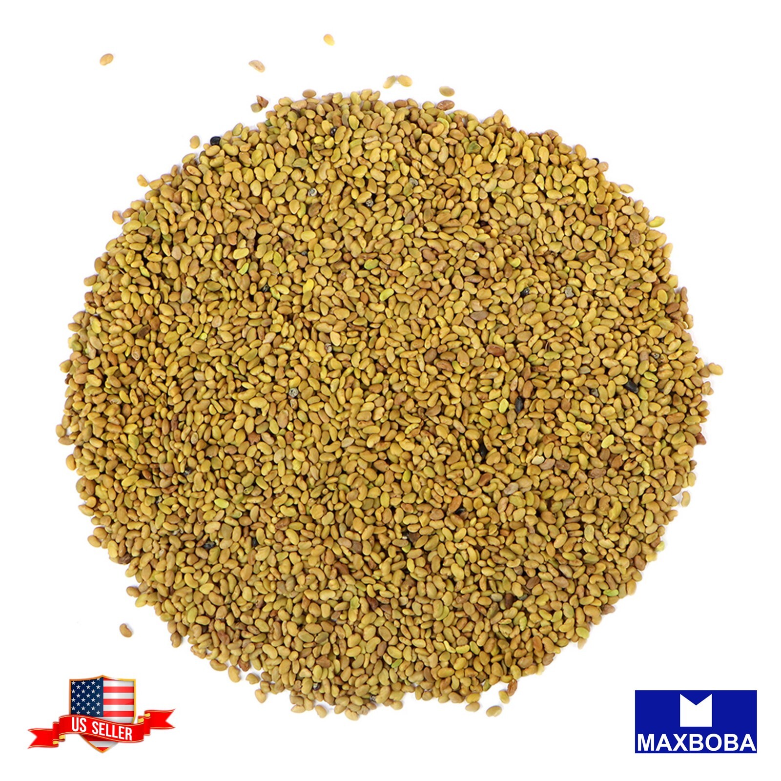 Alfalfa - Organic - Sprouting Seeds Non-GMO Heirloom