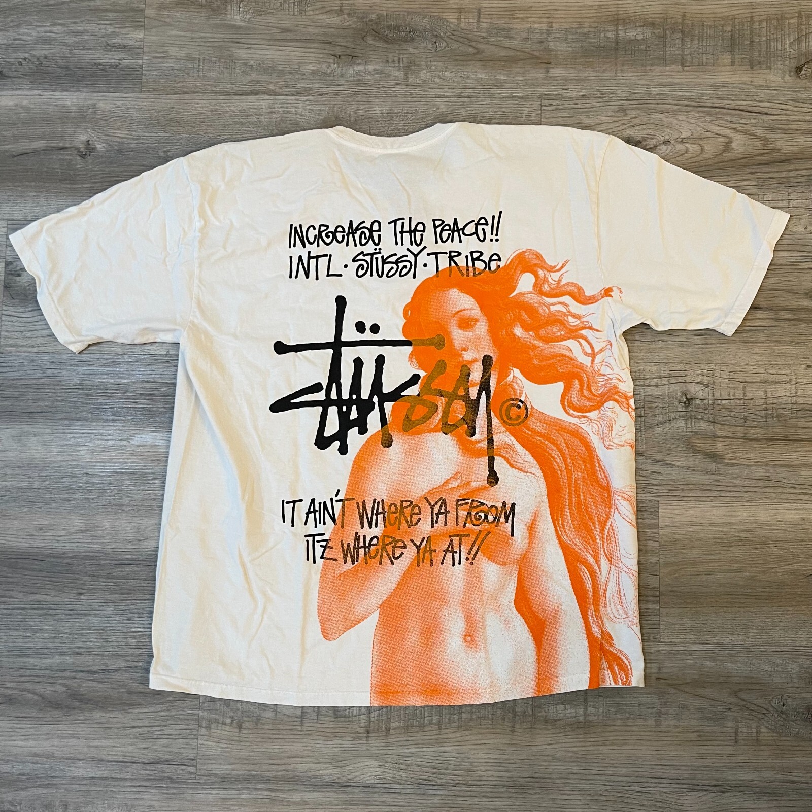 新品L／Stussy Paris Tee 