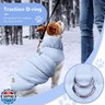 ABRRLO Winter Warm Dog Jacket for Small Medium Dogs Cats Cold Weather Coats with Harness Paded Dogs Fleece Vest Waterproof Windproof Dog Snow Jacket Pet Puppy Clothes (Light Blue,S)