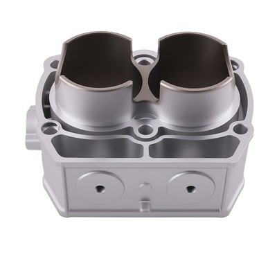 Motor Cylinder Assembly for Polaris Ranger HD 800 Mid-Size 2010-2014 2202696