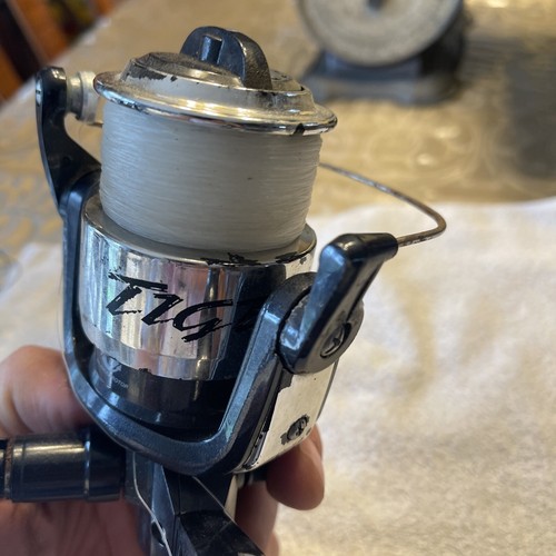 Shakespeare Tiger Reel