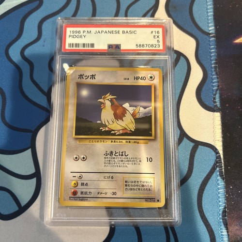 Pidgey PSA 5