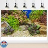 Aquarium Background Various Underwater Grass Plants Pebble Aquarium Backdrop Vivid and Fresh Green Aquatic Plants Stone River Bed and Dead Wood Purple Leaves Tank Background Vinyl 30x18in