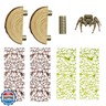 Multi-Functional Jumping Spider Habitat Décor Kit, Natural Wood Ledge, Spider Climing Web, Fun Enclosure Accessories for Climbing and Hiding (Wood Ledge)