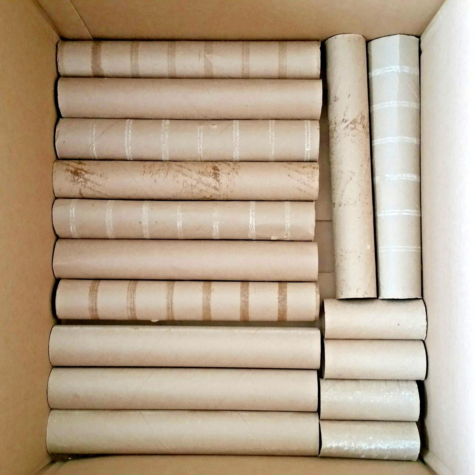 Empty Cardboard Rolls 200 Paper Towel Toilet Paper Tubes for Crafts