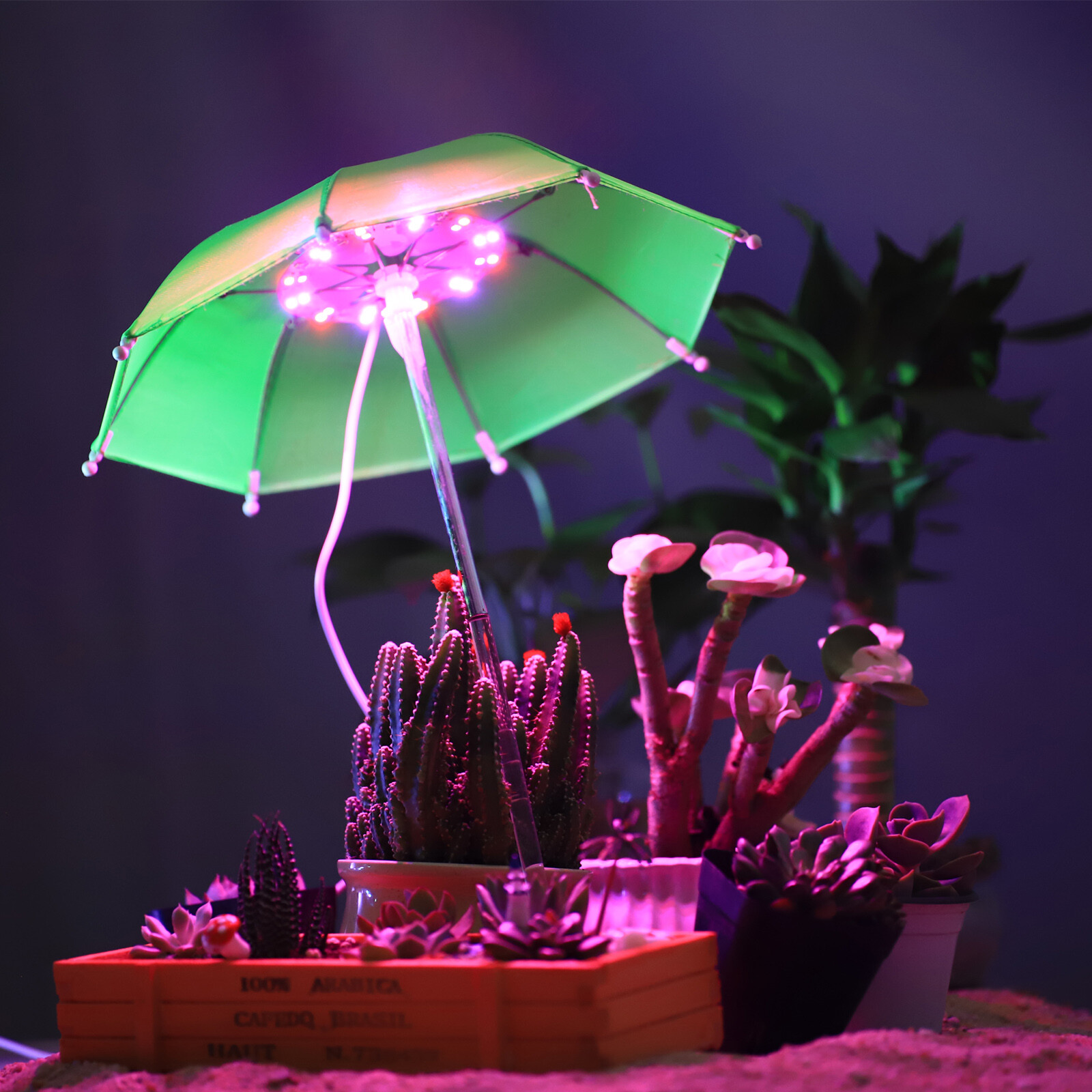 3Color Umbrella Shape LED Plant Grow Light Full Spectrum Plant Growing Lamp US