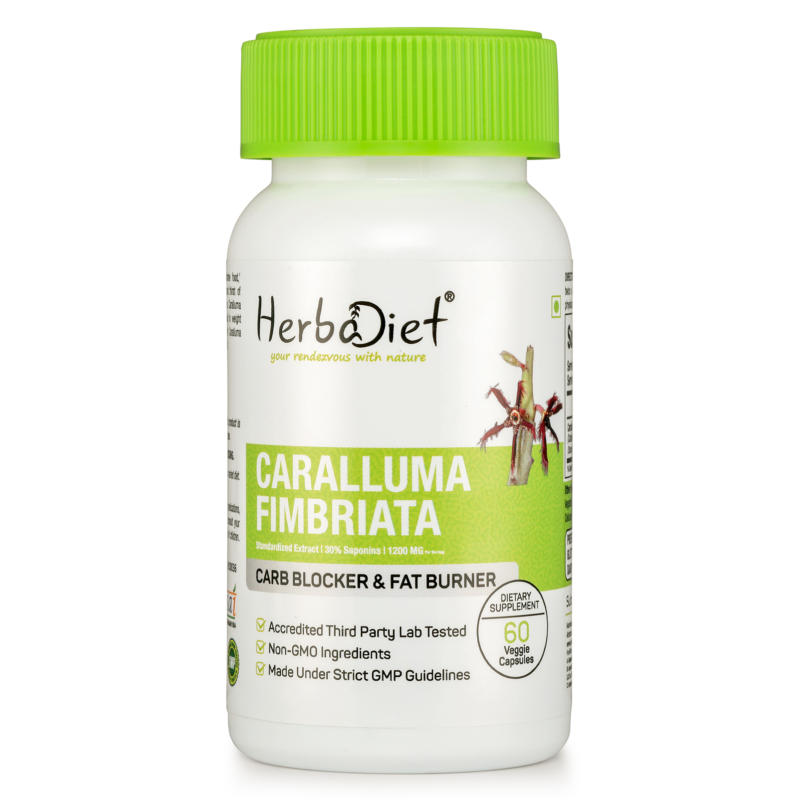Caralluma Fimbriata POTENT 1200mg Capsules Natural Weight Loss Appetite Control - Picture 1 of 4