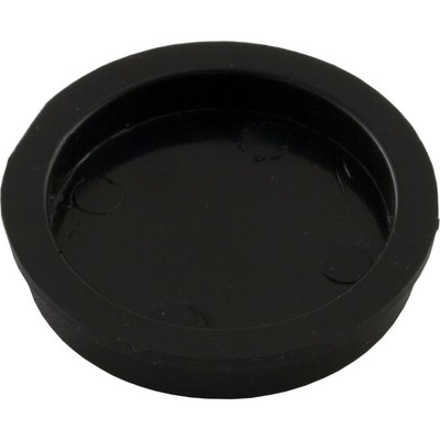 Bypass Plug, Pentair Rainbow RDC/RTL, 1-1/2'' : R172225X