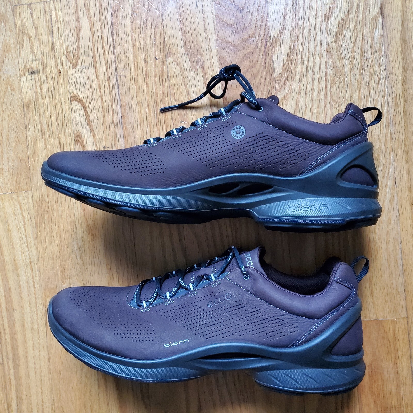ecco biom 46