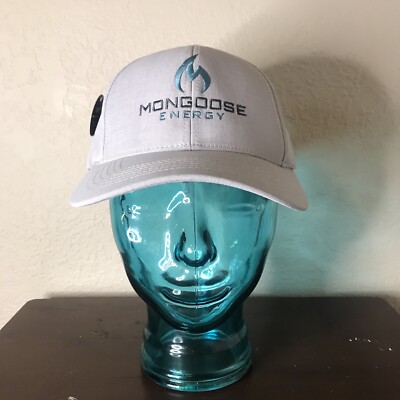 Mongoose Energy Mining, Quarrying, and Oil and Gas Extraction NWT