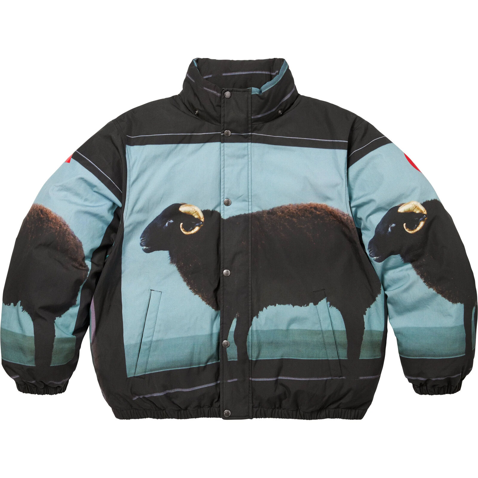 Supreme Damien Hirst Down Puffer Jacket Black | eBay Supreme Damien Hirst Down Puffer Jacket Black | eBay