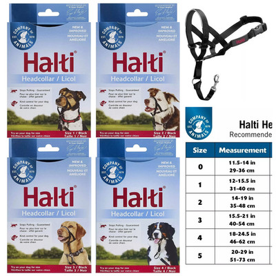 Company Of Animals - Halti - Dog Headcollar - Choose Size