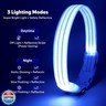 Light Up Dog Collar, LED Lighted Reflective Dog Collars for Night USB Rechargeable, Glow Collar for Dogs, Waterproof Adjustable Flashing Dog Collar for Night Safety (Blue, Large)