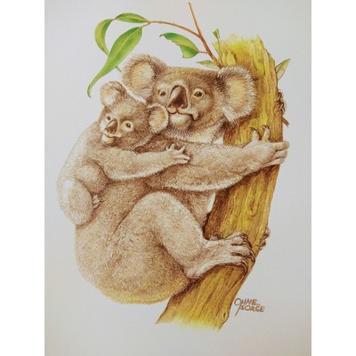 Koala - Ohne Sorge - 1999 Vtg ART PRINT - 7''x10'' - Unique Wall Decor