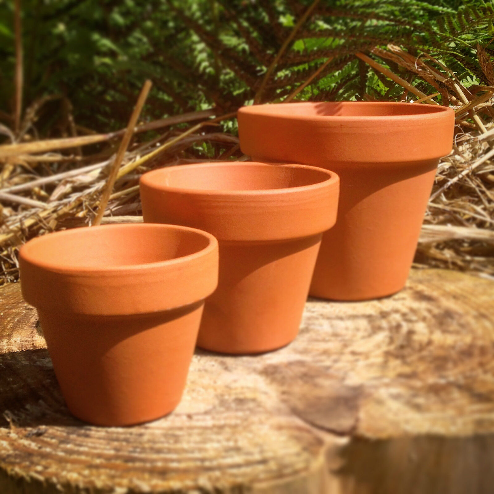  Terracotta  Pots  Mini S M L XL Planters Pots  