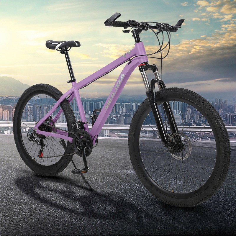 26" 21 Speed Mountain Bike Disc Brake Outdoor Sports Suitable For Men And Women