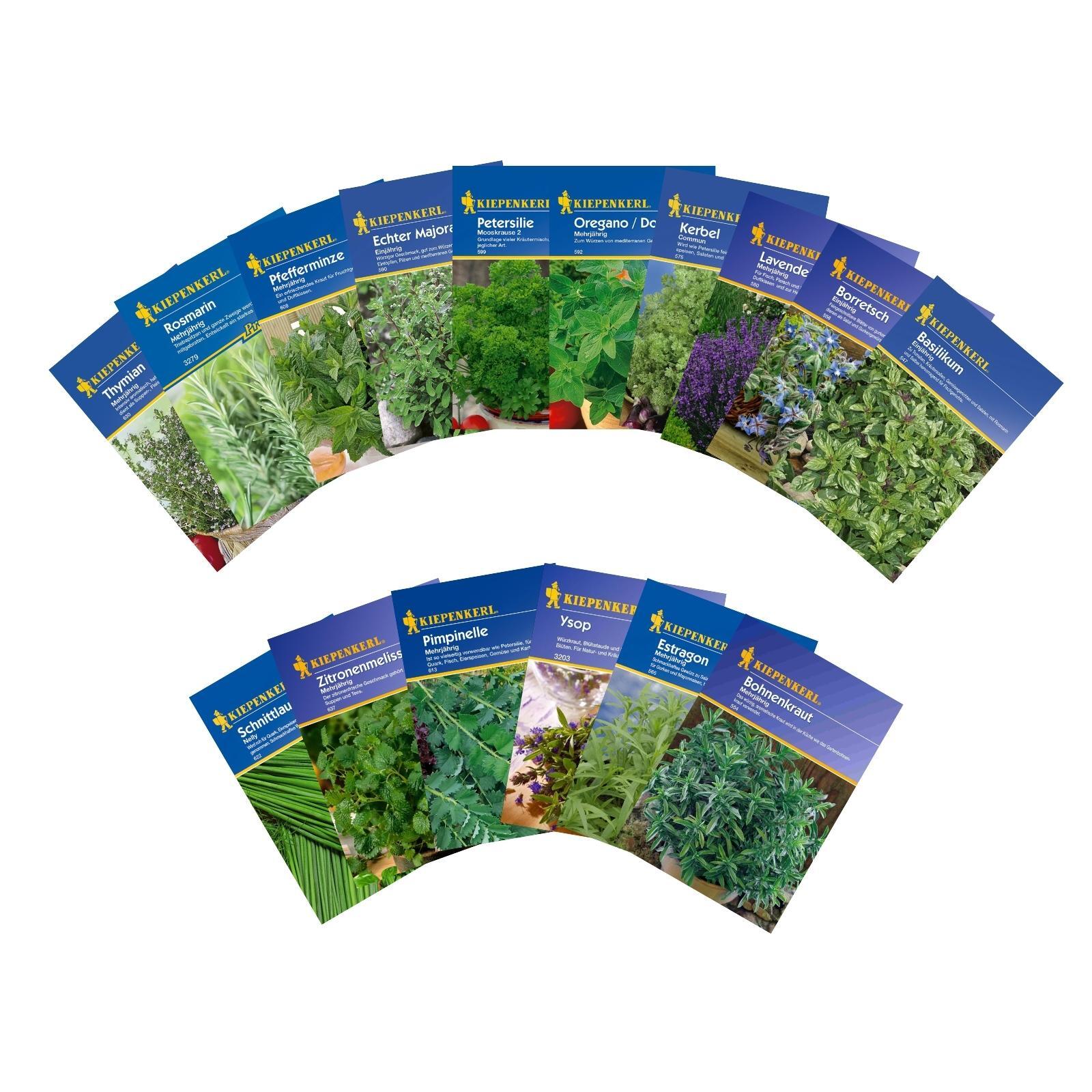 Winterraps 1kg - Gründüngung Für Bodenverbesserung