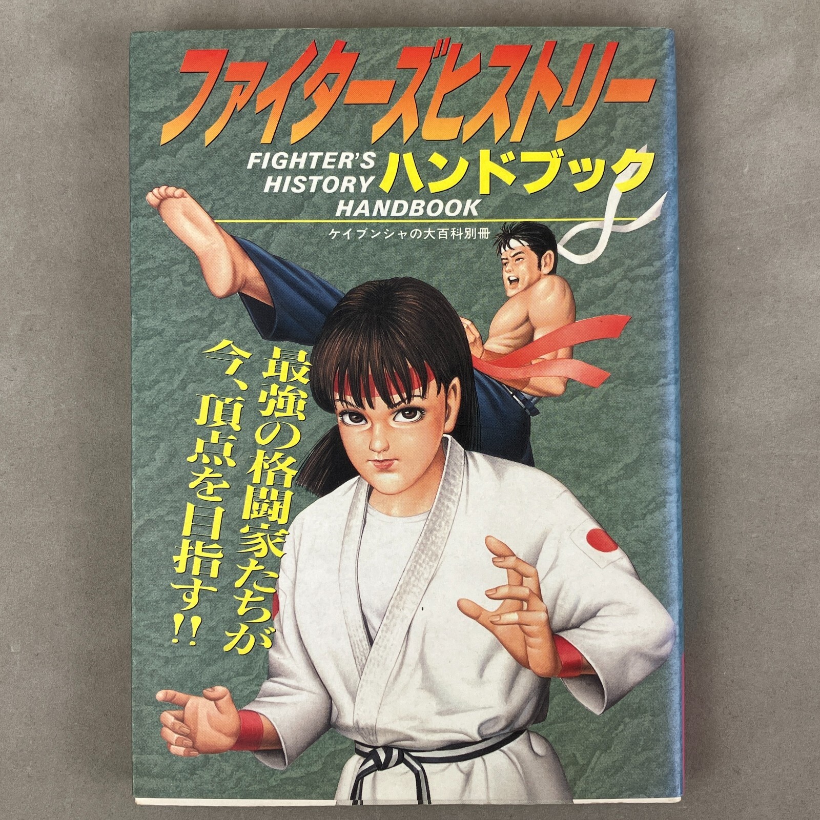 FIGHTER'S HISTORY インストラクションセット FIGHTER'S HISTORY インストラクションセット FIGHTER'S HISTORY