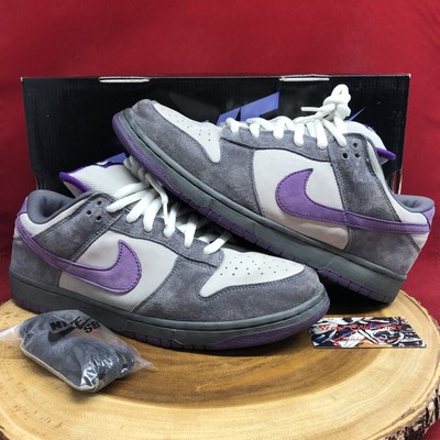 sb purple pigeon