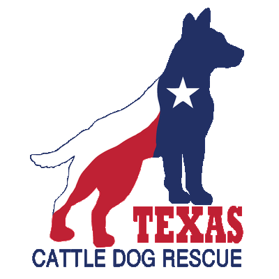 Texas Cattle Dog Rescue