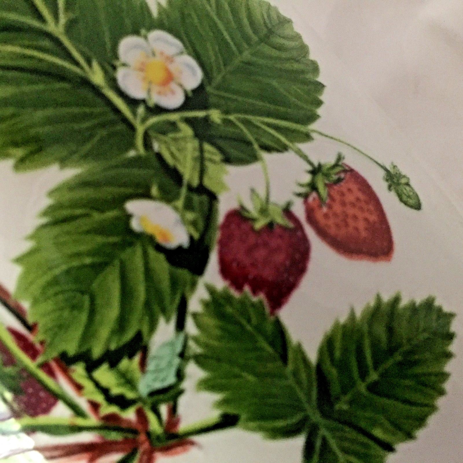 PRETTY PORTMEIRION SUMMER STRAWBERRIES 5.25 INCH COFFEE CANISTER, FAB CONDITION