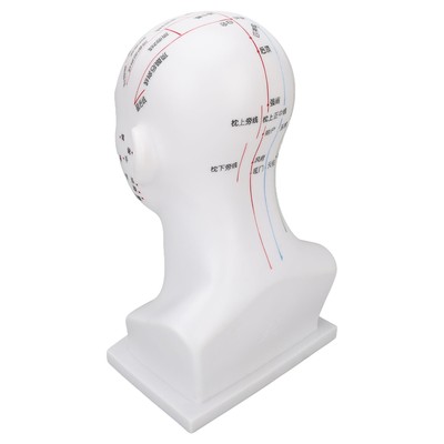 Acupuncture Point Head Model PVC White Face Massage Meridians Head Model Tea DP3