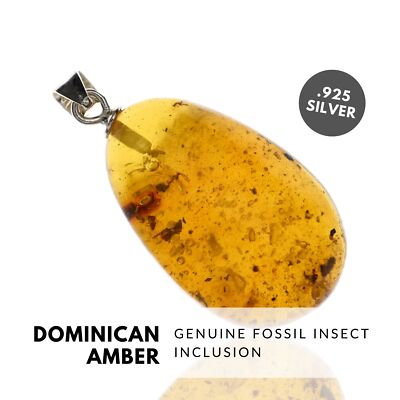 INSECTS - Natural Dominican Amber Pendant, Fossil Inclusion, Sterling Silver