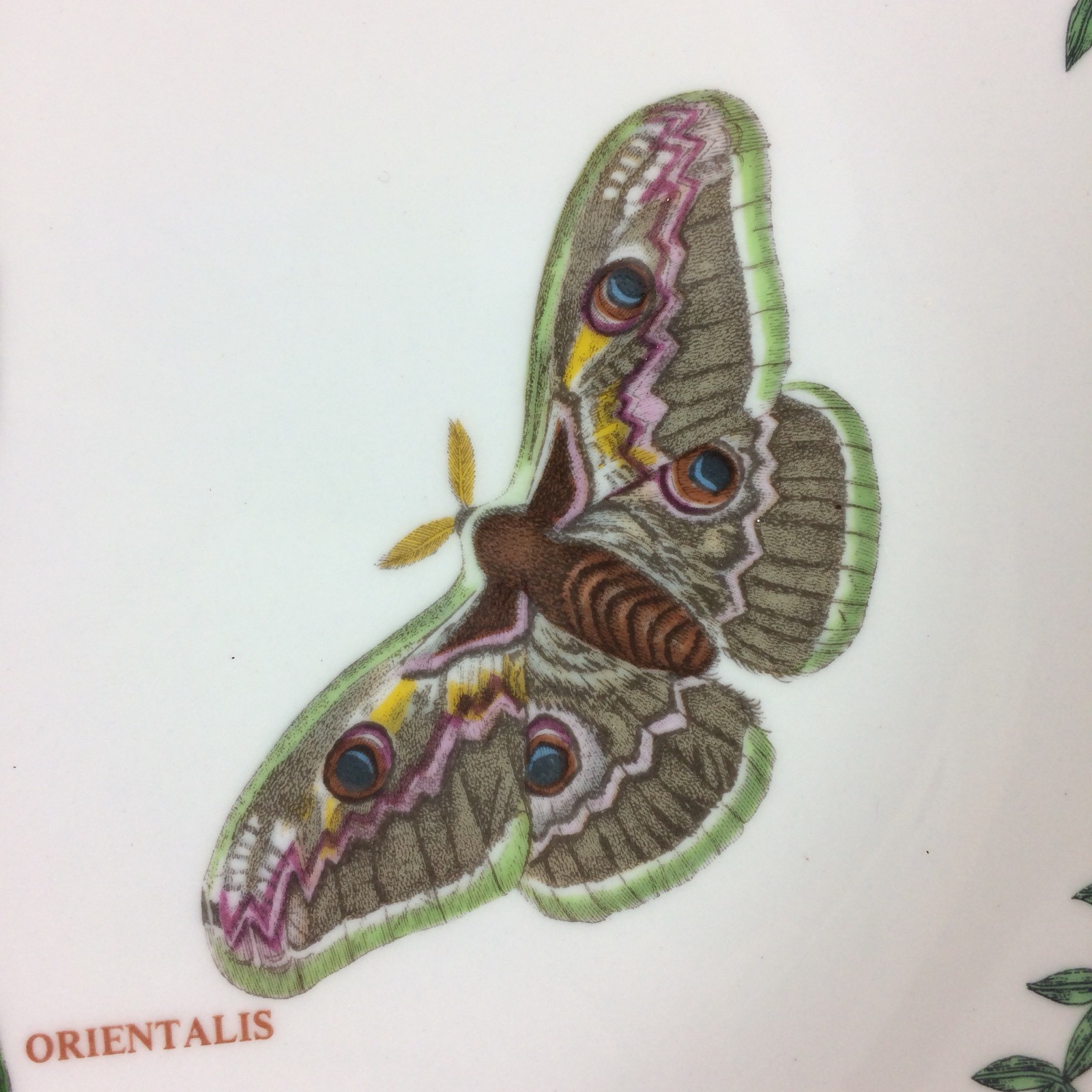 Portmeirion Botanic Garden Oval Platter Plate Hyacinthus Butterfly 13