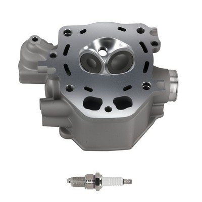 Cylinder Head w/ Valves for Honda TRX420/450/500 2009-2015 12200-HP7-A01 Nre