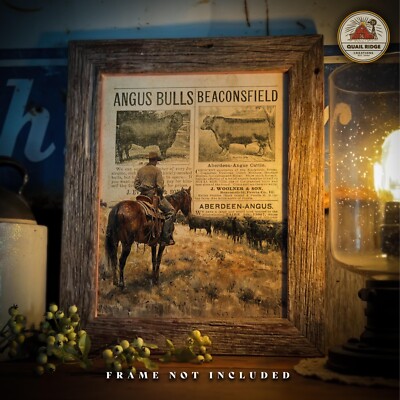 Vintage Black Angus Cattle Rancher Art Print Rodeo Cowboy Western Decor Gift