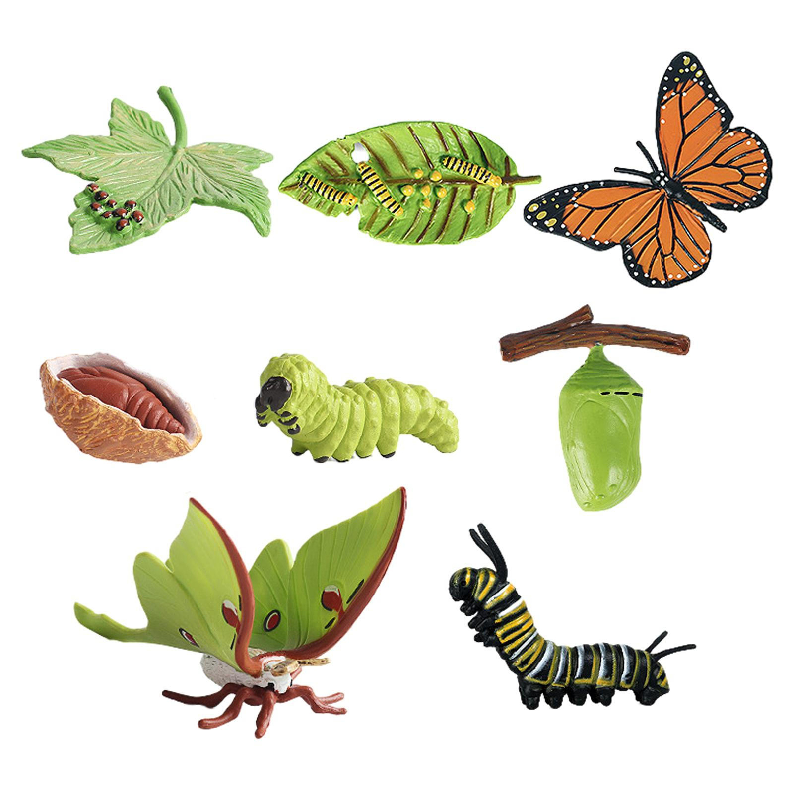 8PCS/set Animal Life Cycle Toys Realistic Butterfly Life Cycle Toy Figures