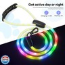 Colaseeme Light Up Dog Leash, 5FT LED Pet Leashes Micro USB Rechargeable, Nylon Glow Safety Dogs Lights at Night (Multi-Color)