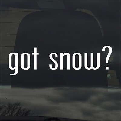 Got Snow? Custom Vinyl Sticker / Decal Weather Winter Cold Nature
