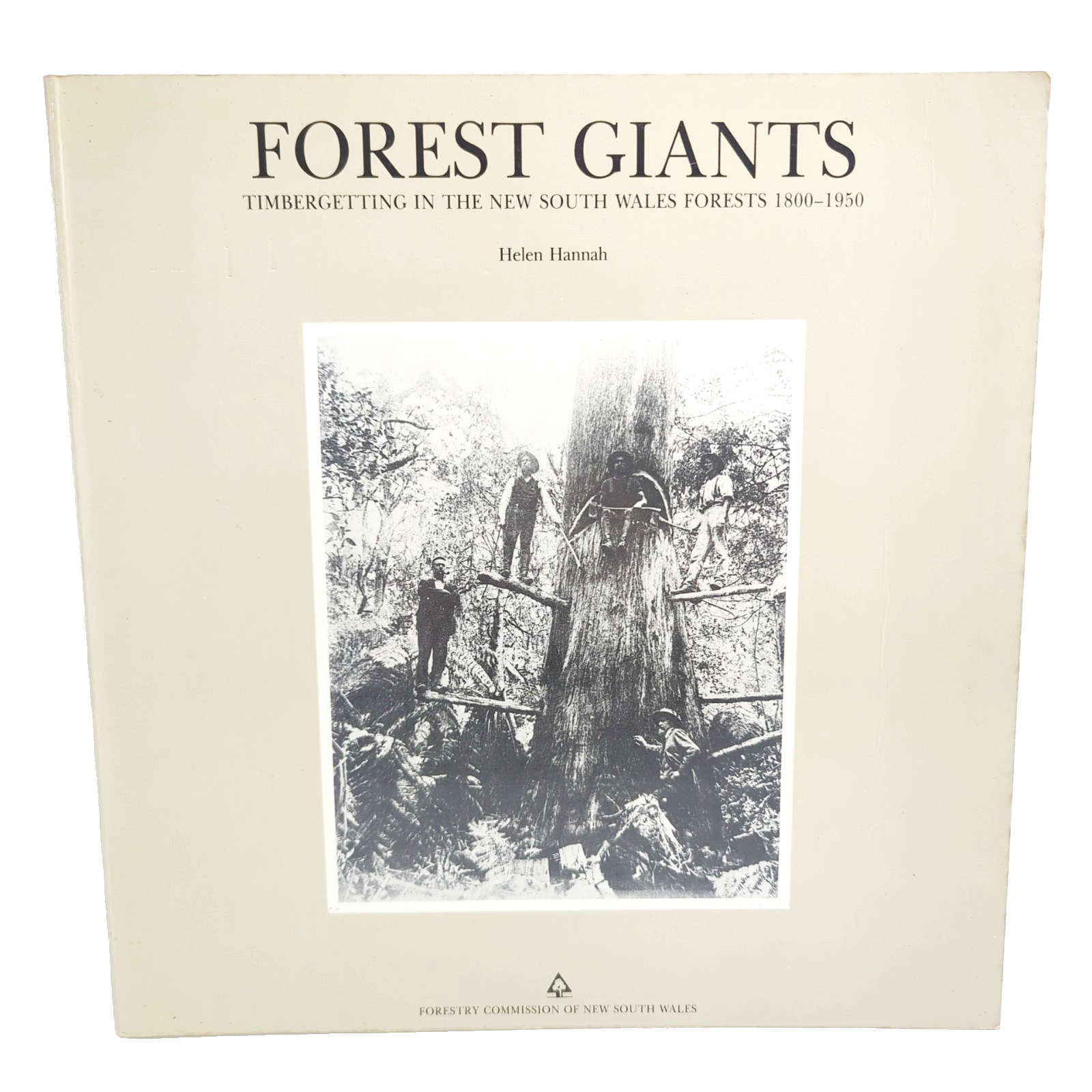 Forest Giants by Helen Hannah