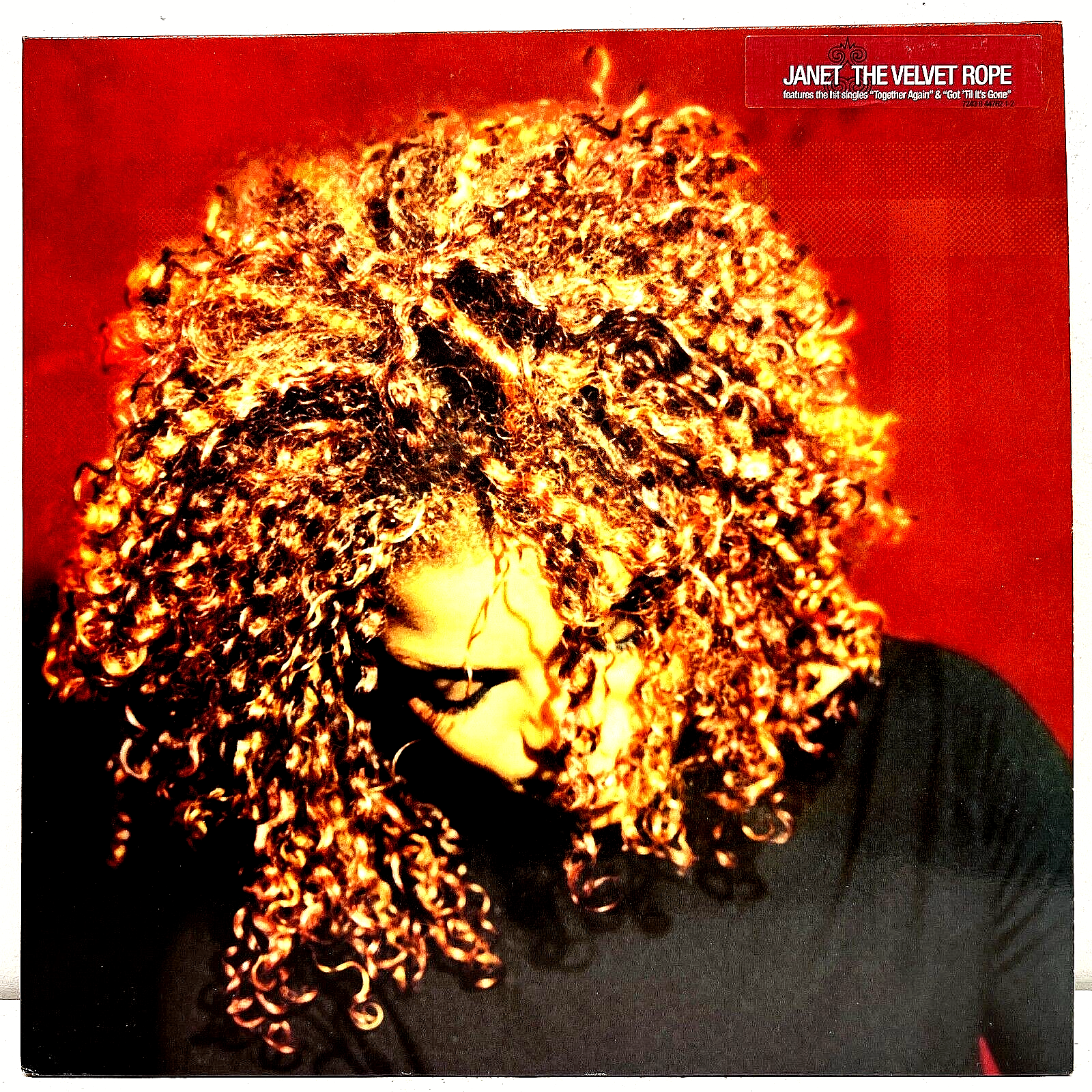 高い信頼 厚い信頼 Rope Velvet The Jackson Janet 1997 1st Records Virgin Vinyl 洋楽