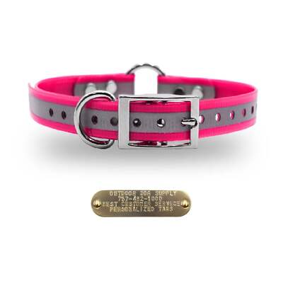 1'' Reflective Premium Glow Tuff Center Ring Dog Collar with Brass Name Plate