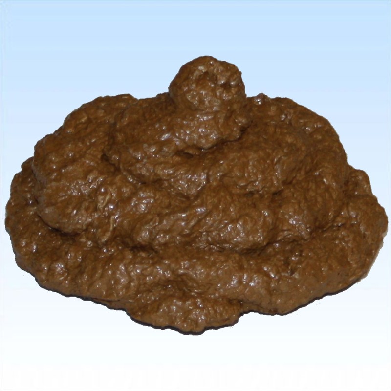 GroÃEr Kackhaufen Eklig Scherzartikel Kacke Haufen Wurst Dekoration Partygag Jga