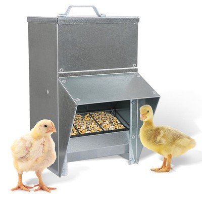 Rural365 11.5lb Capacity Galvanized Chicken Feeder Weatherproof Coop Dispenser