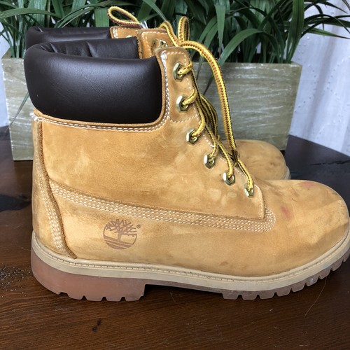 Timberland Junior Premium Waterproof Boots Wheat Nubuck 12909 Size