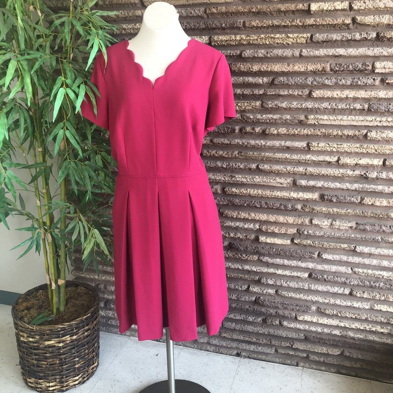 tahari arthur s levine plus size