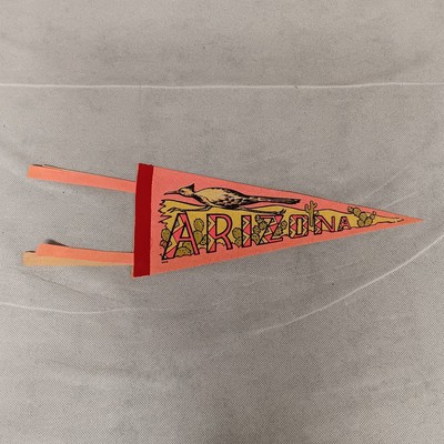 Arizona Pennant Roadrunner Cactus Desert 11.5'' (16'' With Ties) x 5'' Vintage