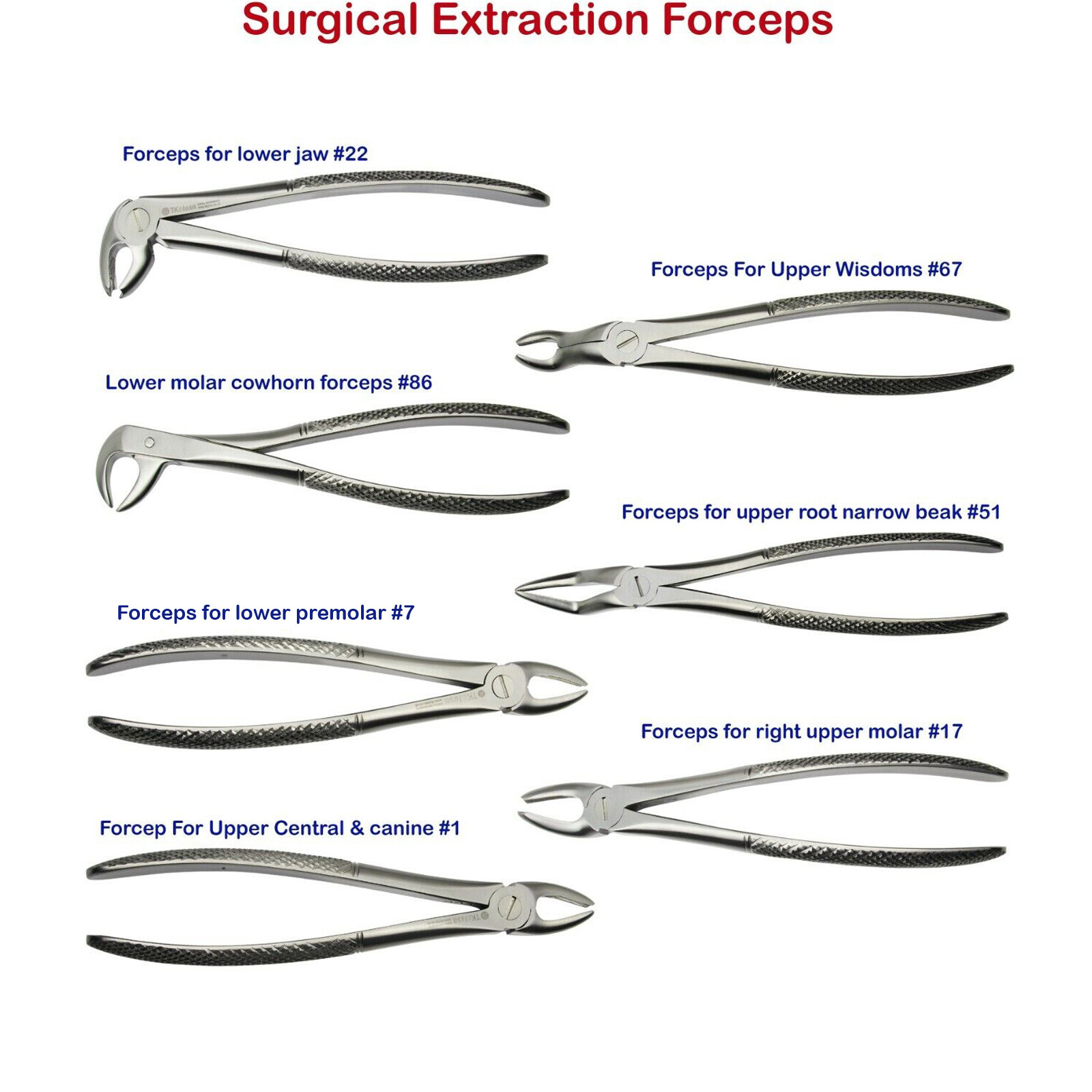 Flesh and Blood Surgical Extraction プレマ 12.044.15ZS_EXTRACTING-