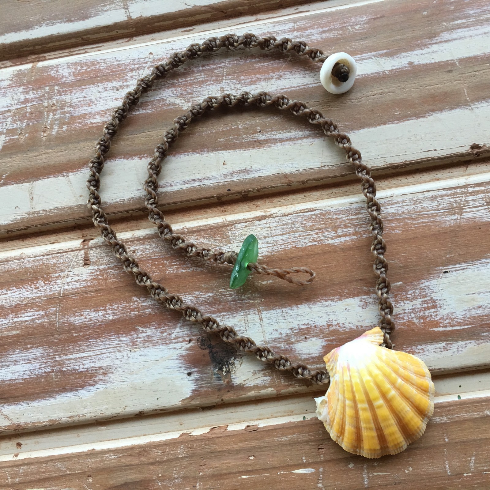 Unusual Hawaiian sunrise shell necklace with coral growth