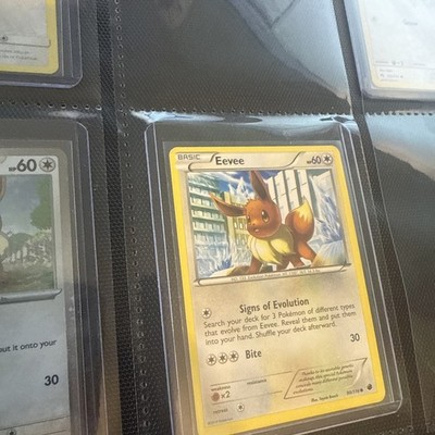 Foto dell'oggetto di un acquirente verificato