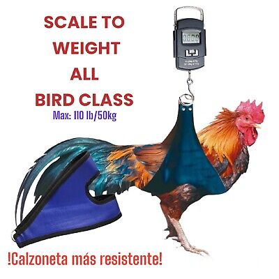 BASCULA, BALANZA PARA GALLOS, POLLOS, GALLINAS, Scale To Weight for Rooster, hen