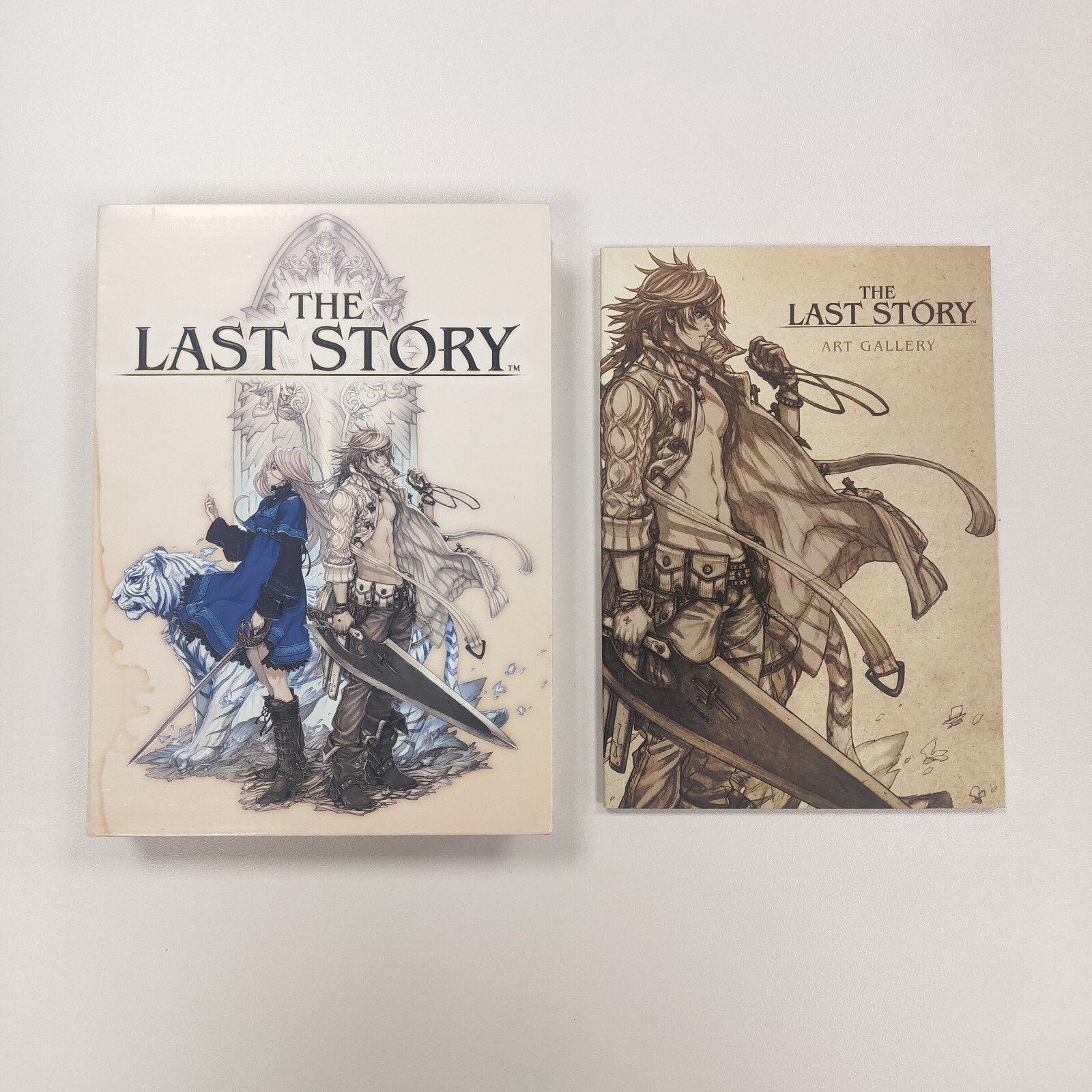 The Last Story: Limited Edition Nintendo Wii | eBay