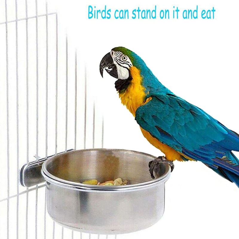 Stainless Steel Bird Feeding Dish Cups Bird Feeder Parrot Fo