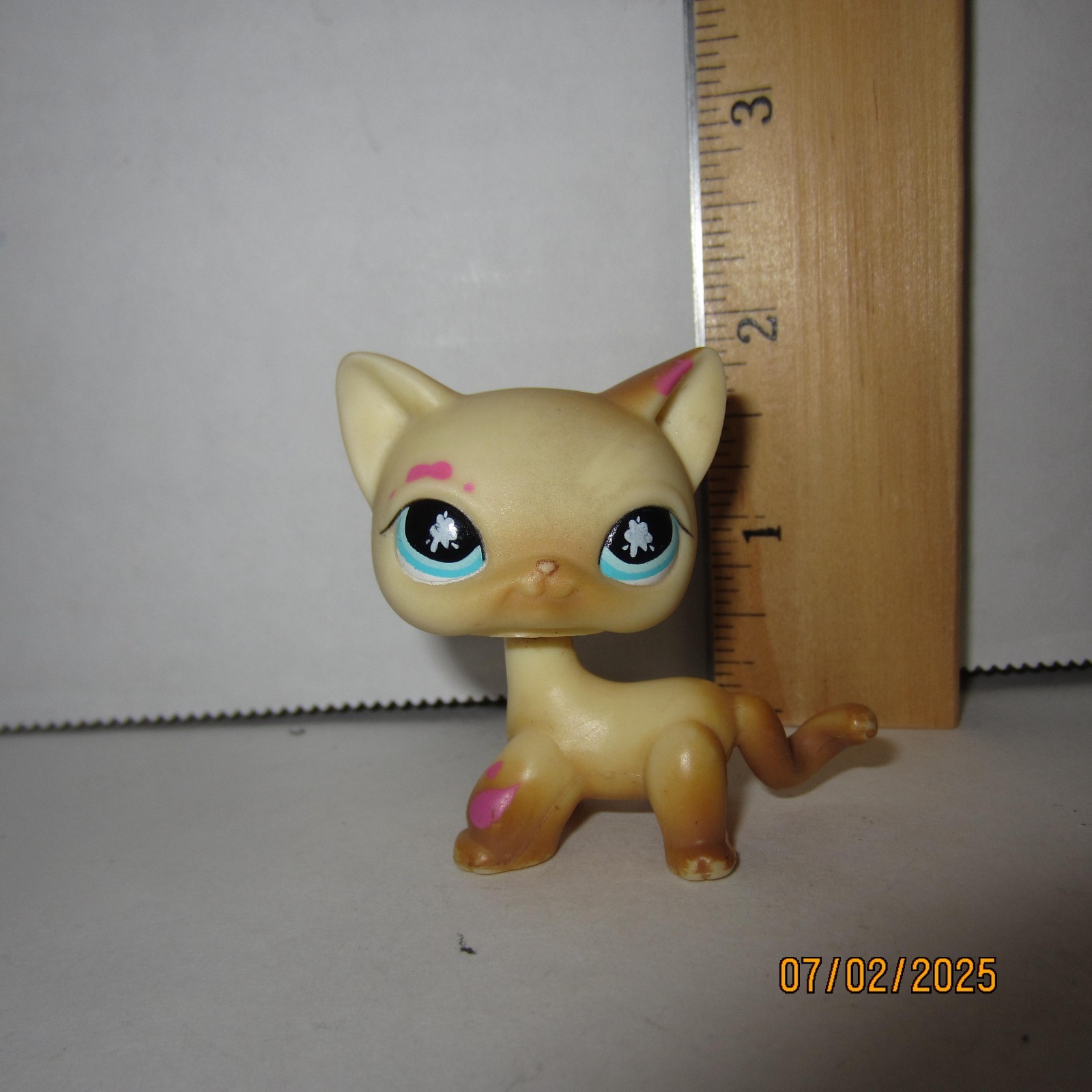 $_57.JPG?set_id=880000500F