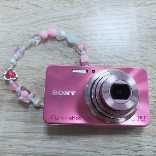 SONY Cyber-shot DSC-W570 16.1MP 5x Optical Zoom Digital