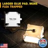 Electric Flea Traps for Inside Your Home (2 Packs), Retractable Flea Light Trap w/Sticky Fleas Trap Refill and Replacement Bulbs, Ultimate Fleas Fighting Solution.